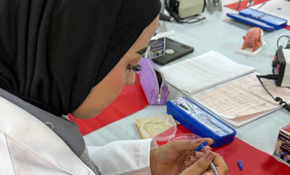 الحياة الطلابية